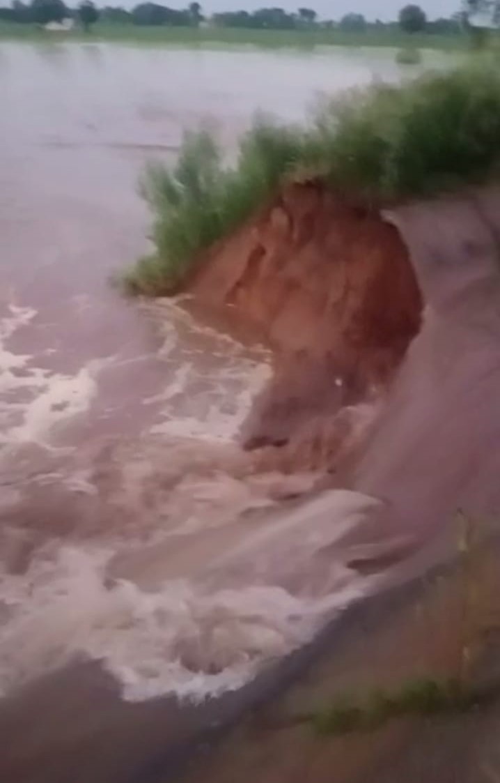 Canal breach in Nakodar village inundates fields.