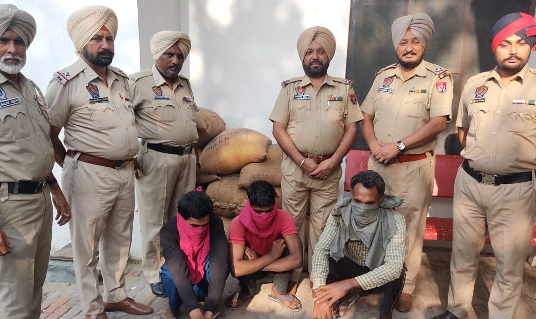 Two  arrested for stealing 45  bags of paddy from grain market