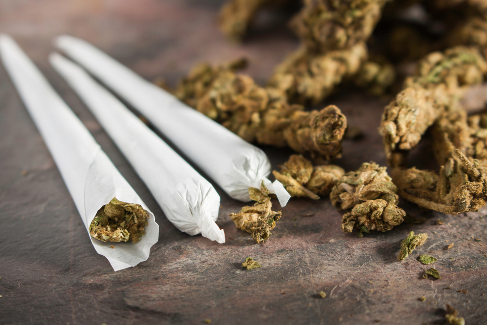 Drug peddler arrested under NDPS Act 