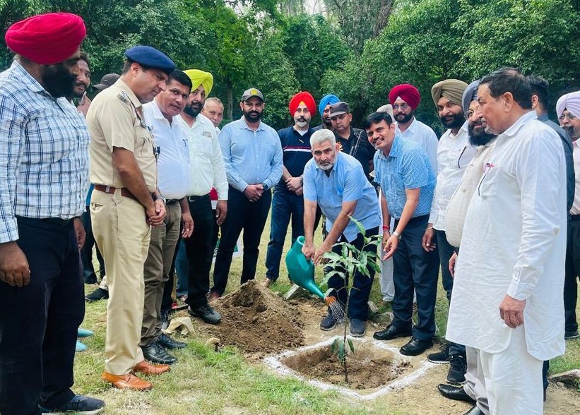 Forest department to plant 9.5 lakh saplings in Bist circle during this monsoon - Kataruchakk