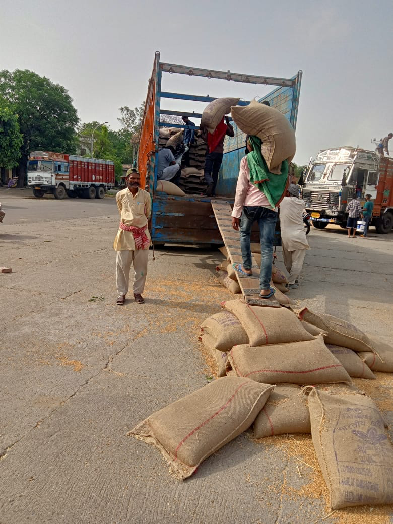 Payment Rs. 239 crores made to farmers in Jalandhar ; 1.13 Lakh MTs wheat procured;DC