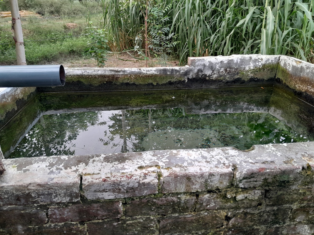 Little rainfall in Faridkot, power supply to agriculture sector just 5 hours or less instead of 8