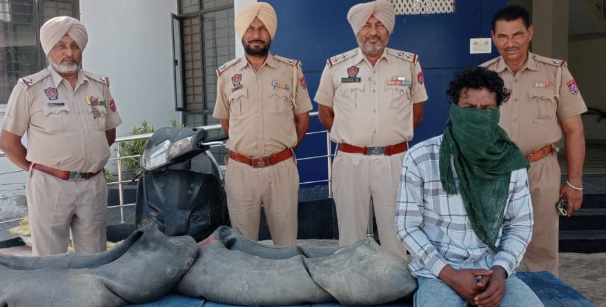 Phillaur resident arrested for selling illicit   liquor 