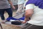 Village youth found dead under mysterious circumstances.