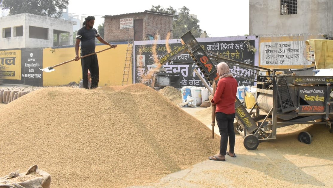 674797-MT paddy arrives in grain markets, 98 % procured: Rs 1393 crore cleared to farmers