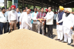 Over 2100 MTs wheat purchased in Jalandhar district; Minister, DC launch wheat procurement