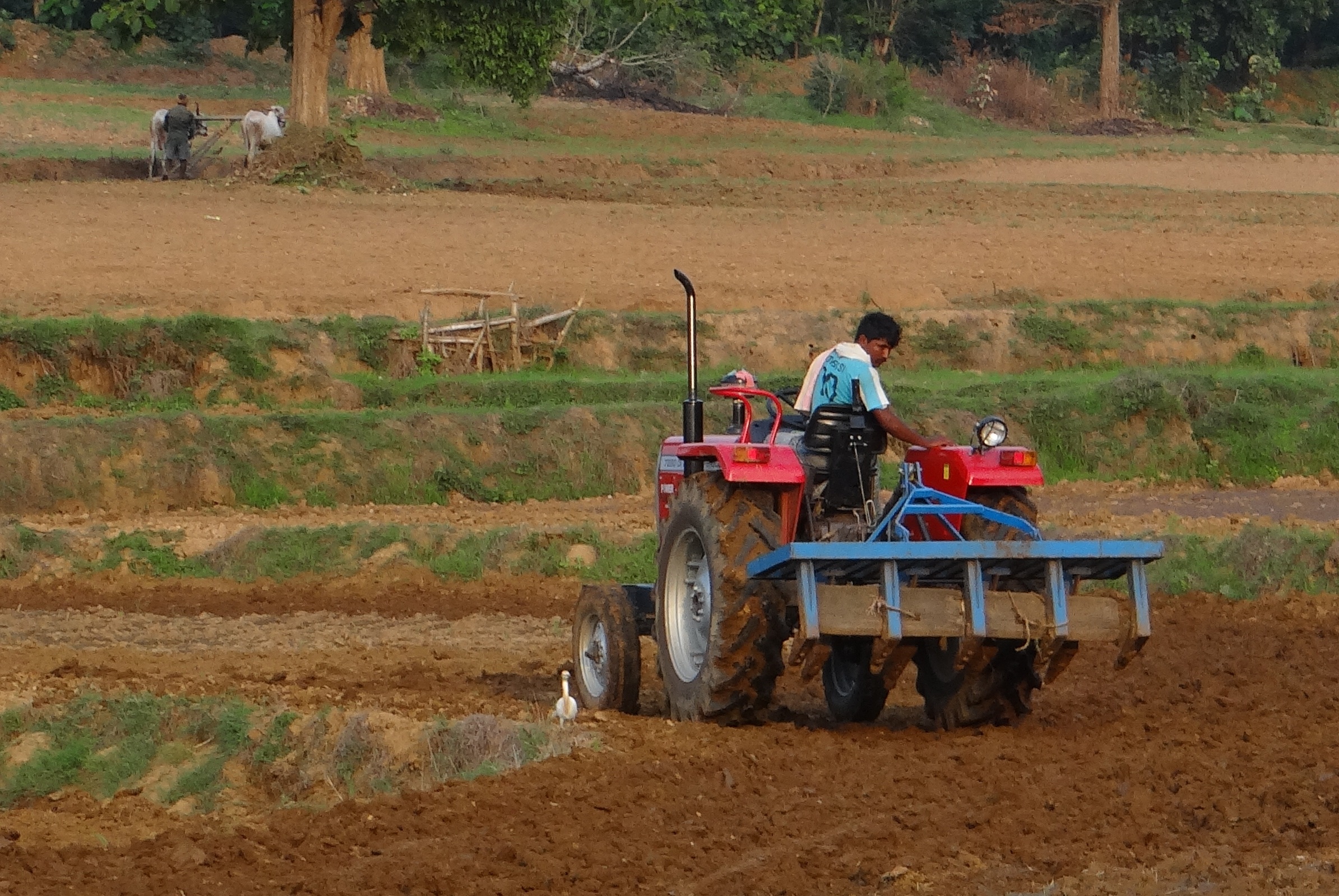 Scheduled caste/backwards farmers can apply for subsidized machinery (stubble managing) till February 8-CAO Faridkot