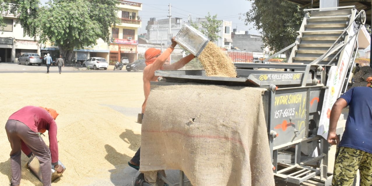 Paddy procurement crosses target in Nakodar
