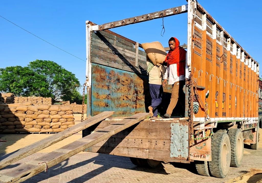 Jalandhar tops Punjab in lifting paddy in single day; Rs 428 crore paid to farmers: DC