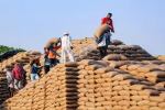 Wheat procurement misses target in Bilga
